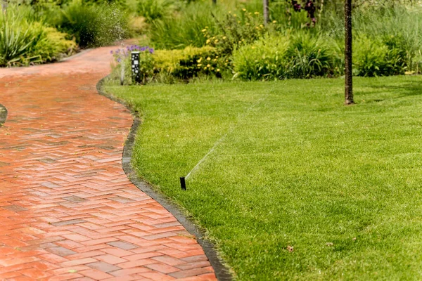 Système d'irrigation arrosage jardin pelouse. Aménagement paysager. — Photo