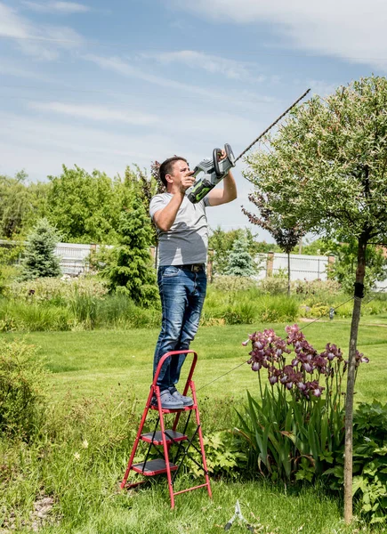 Un jardinero recortando árboles con recortadora de setos —  Fotos de Stock