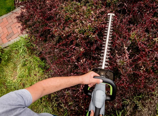 Un arbusto de recorte de jardinero con recortadora de setos — Foto de Stock