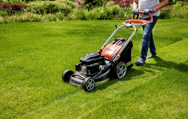 Trädgårdsmästare klipper gräsmattan. Landskapsplanering. Grönt gräs bakgrund — Stockfoto