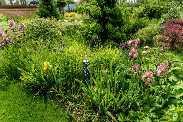 Hermoso diseño de paisaje de jardín. Fondo del día de verano — Foto de Stock