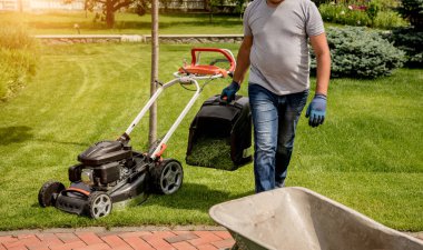 Bahçıvan çim biçme makinesinin çimlerini biçtikten sonra el arabasına boşaltıyor..