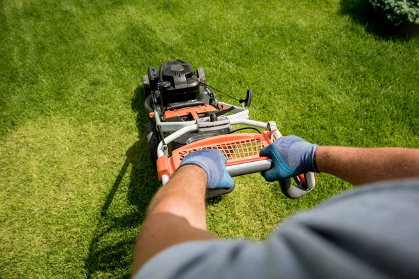 Tukang kebun memotong rumput di halaman. Desain lansekap. Latar belakang hijau — Stok Foto