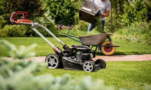 Jardinero vaciando césped cortacésped en una carretilla después de cortar . — Foto de Stock