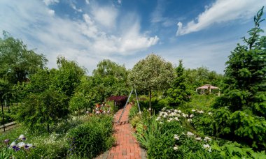Güzel bahçe manzarası tasarımı. Yaz günü arkaplanı