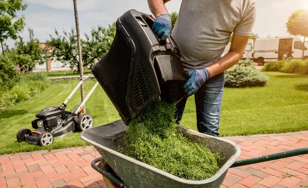 Κηπουρός αδειάζει γκαζόν χορτοκοπτική μηχανή σε ένα καροτσάκι μετά το κούρεμα. — Φωτογραφία Αρχείου