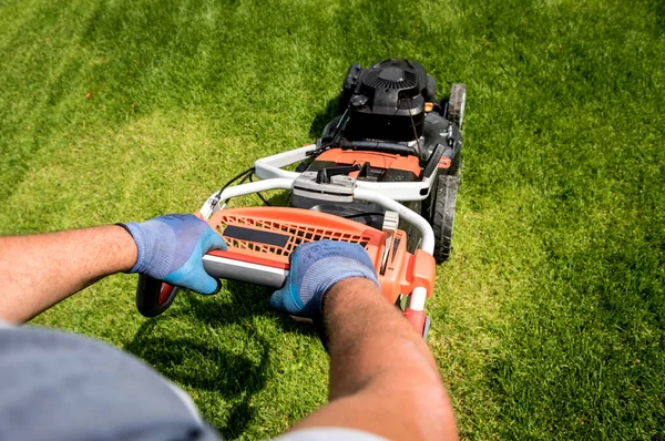 Gardener mowing the lawn. Landscape design. Green background — Stock Photo, Image