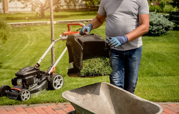 Gardener emptying lawn mower grass into a wheelbarrow after mowing. — Stock Photo, Image