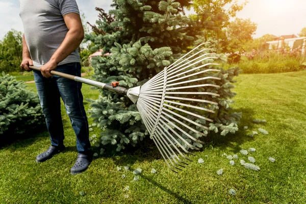 园艺师在花园里修剪树叶. — 图库照片