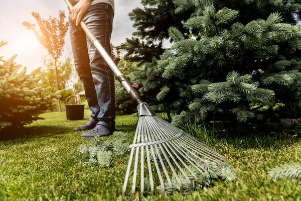 Trädgårdsmästare kratta skär blad i trädgården. — Stockfoto