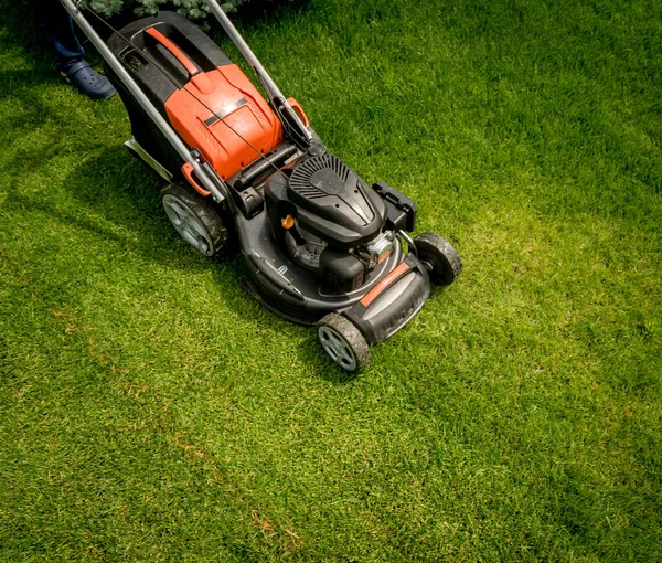 Rasenmäher auf grünem Rasen. Sommergarten — Stockfoto