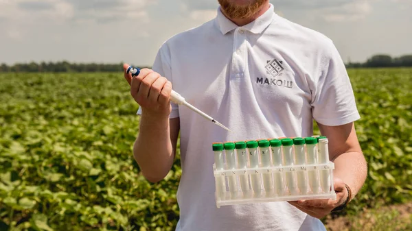 Laboratory worker testing plant sprouts before harvest in the field.