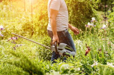 Bahçıvan çim biçme makinesiyle ağaçları buduyor.