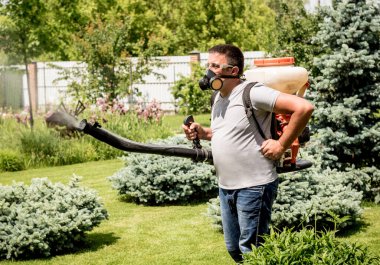 Koruyucu maskeli bir bahçıvan ve zehirli böcek ilaçları sıkan bardaklar.