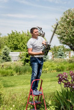 Bahçıvan çim biçme makinesiyle ağaçları buduyor.