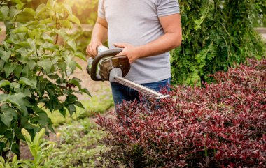 Çim biçme makinesiyle çalı biçen bir bahçıvan