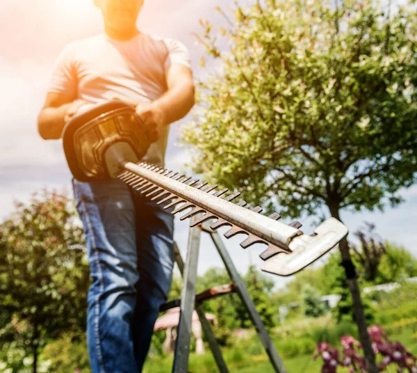 Een tuinier trimt bomen met heggenschaar — Stockfoto