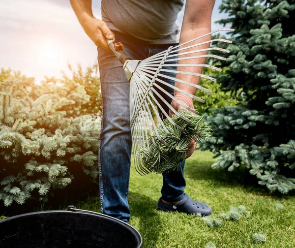 Trädgårdsmästare kratta skär blad i trädgården. — Stockfoto