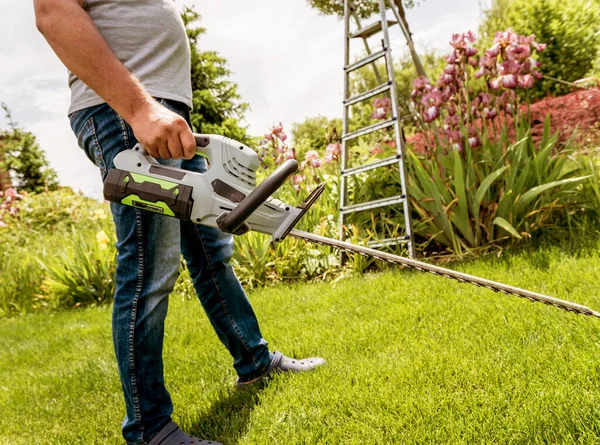 Un jardinero recortando árboles con recortadora de setos — Foto de Stock