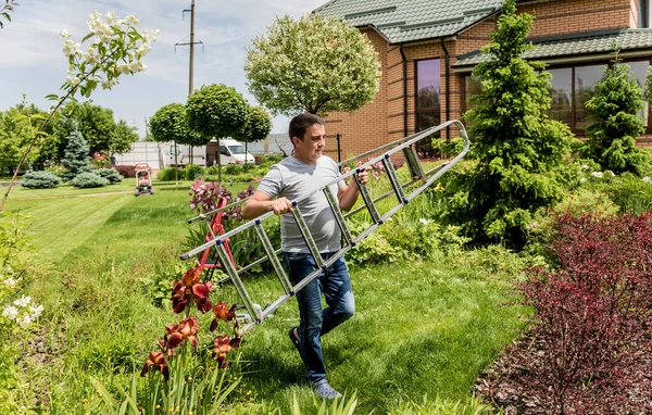 Επαγγελματίας κηπουρός πηγαίνει να κόψει δέντρα με ψαλίδι κήπου και σκάλα — Φωτογραφία Αρχείου