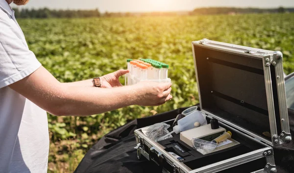 Laboratory worker testing plant sprouts before harvest in the field.