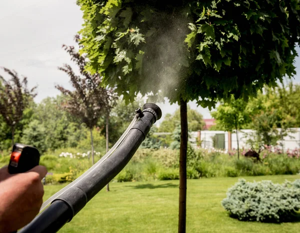 Giardiniere in maschera protettiva e occhiali spruzzando pesticidi tossici alberi — Foto Stock