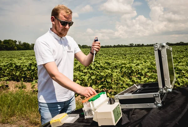 Laboratory worker testing plant sprouts before harvest in the field.