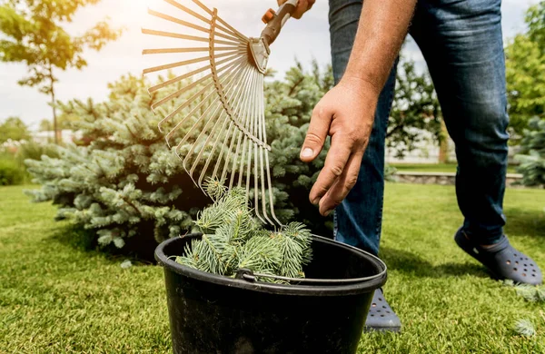 Trädgårdsmästare kratta skär blad i trädgården. — Stockfoto