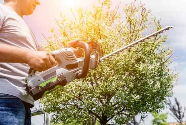 Een tuinier trimt bomen met heggenschaar — Stockfoto