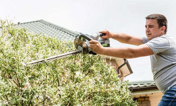 Un giardiniere che taglia alberi con tagliasiepi — Foto Stock