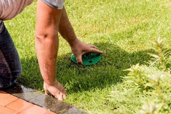 Irrigation system watering garden lawn. Landscape design. — Stock Photo, Image