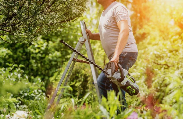 Een tuinier trimt bomen met heggenschaar — Stockfoto