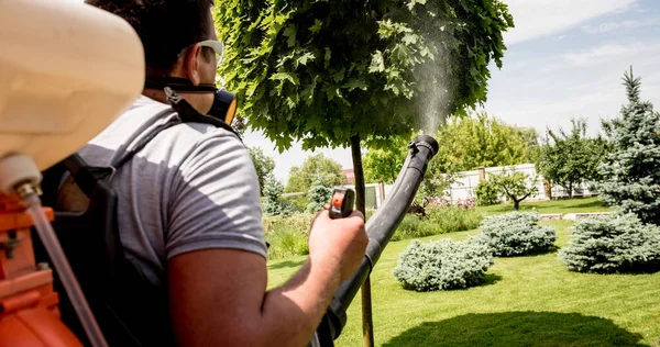 Giardiniere in maschera protettiva e occhiali spruzzando pesticidi tossici alberi — Foto Stock