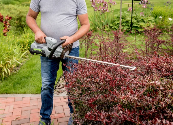 Un arbusto de recorte de jardinero con recortadora de setos —  Fotos de Stock