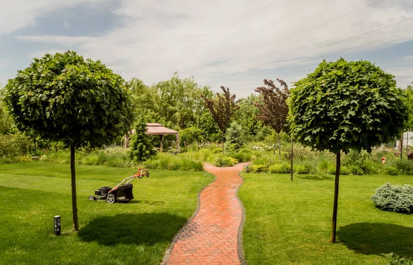 Hermoso diseño de paisaje de jardín. Fondo del día de verano — Foto de Stock