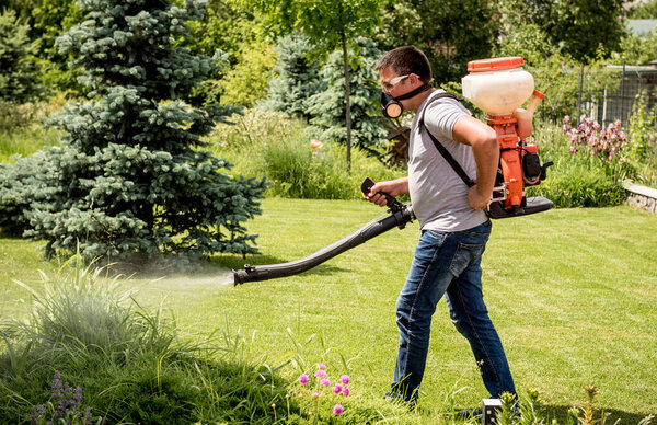 Gardener in protective mask and glasses spraying toxic pesticides trees