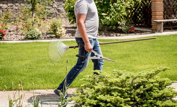 Profi-Gärtner schneidet Bäume mit Gartenschere und Harke — Stockfoto