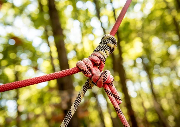 Detalhe do parque de cordas numa floresta. Parque de verão aventura . — Fotografia de Stock