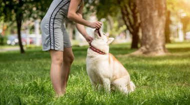 Sahibi parkta köpeğini eğitiyor..