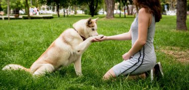 Sahibi parkta köpeğini eğitiyor..