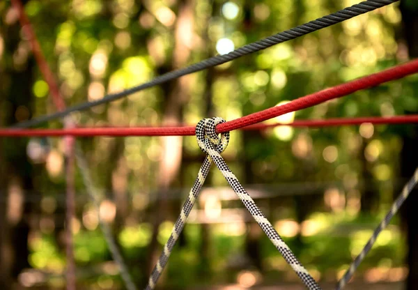 Detalhe do parque de cordas numa floresta. Parque de verão aventura . — Fotografia de Stock