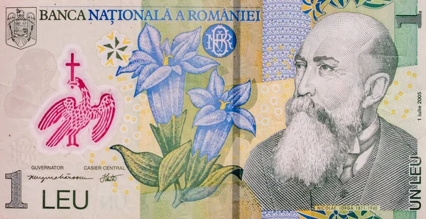 Мировая коллекция денег. Фрагменты денег Румынии — стоковое фото