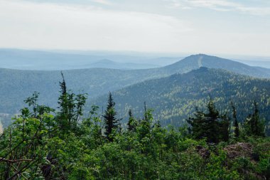 Dağ manzarası ile bulutlu yaz günü ormanda