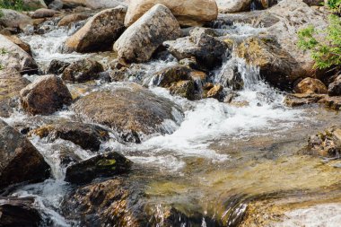 Orman şelale ve brook kayalar ve ağaçlar