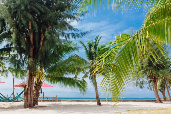 Coconut palm trees on a tropical beach with beautiful sea view.