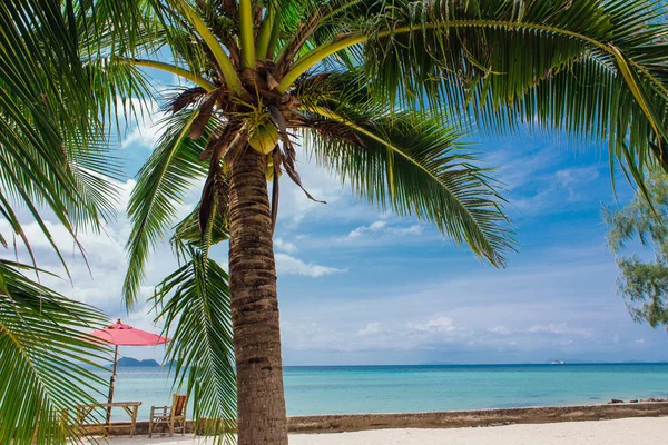 Cocos Palmbomen Een Tropisch Strand Met Prachtig Uitzicht Zee — Stockfoto