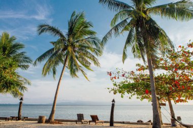 Ahşap şezlong ve palmiye ağaçları ile plaj. Deniz manzaralı.