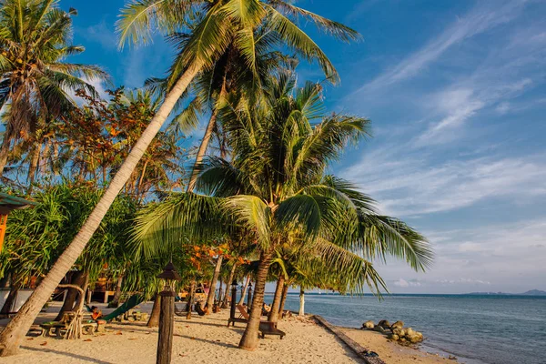 Beach Wooden Sunbeds Palm Trees Sea View — Stock Photo, Image