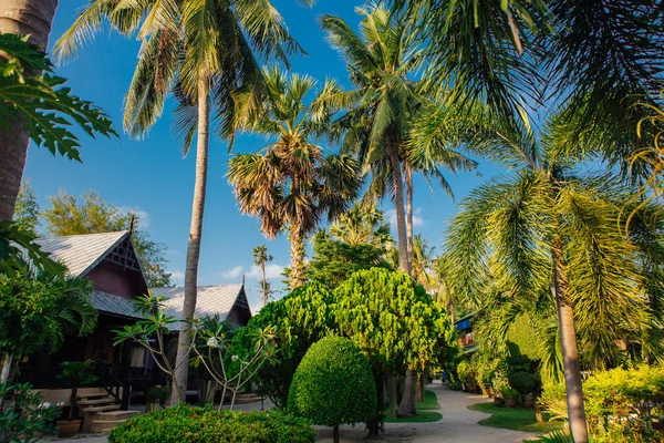 Bungalow Legno Hotel Una Spiaggia Tropicale — Foto Stock