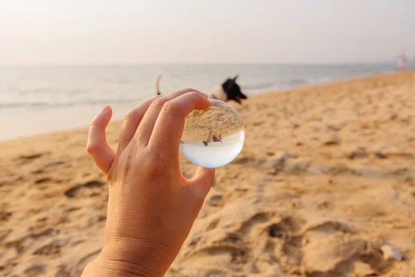 Crystal lens ball in hand with reflection of a dog on the sea shore